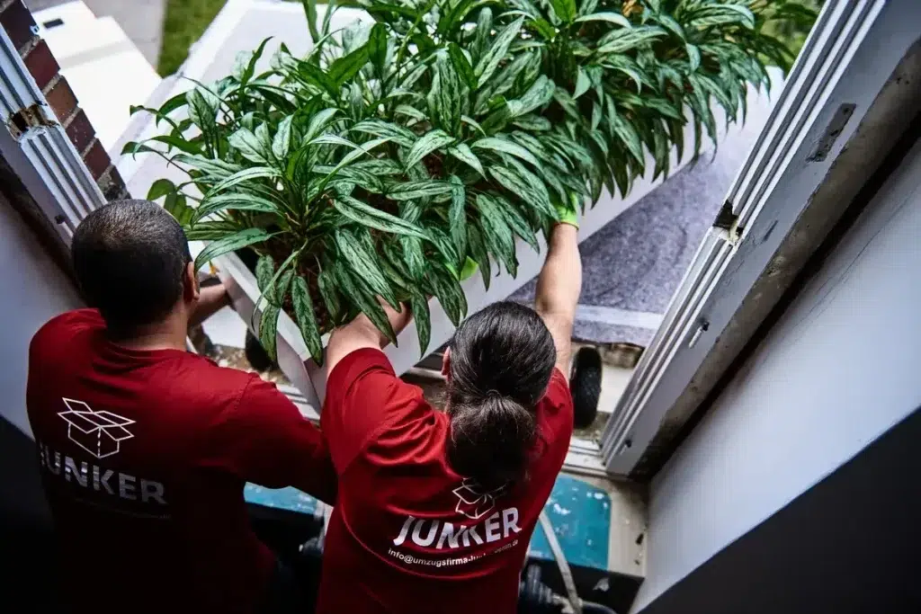 Möbellift-Umzüge Berlin mit Junker Umzugsfirma