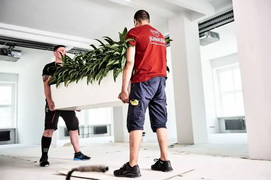 Pflanzen-Transport mit Umzugsfirma Junker Berlin